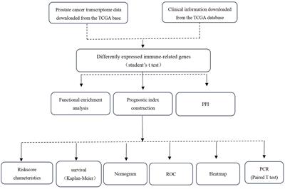 Development and Verification of a Prostate Cancer Prognostic Signature Based on an Immunogenomic Landscape Analysis